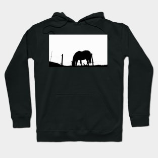 Le cheval et l'oiseau Hoodie